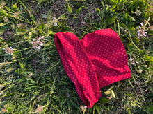 Load image into Gallery viewer, Red Polka Dot Mini Set