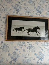 Load image into Gallery viewer, Beach Horses Print