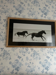 Beach Horses Print